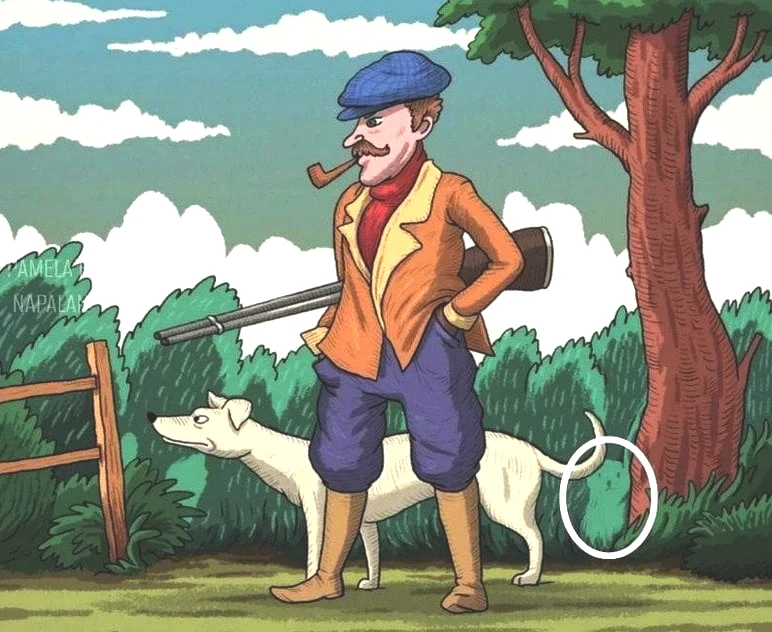 avci-tavsan-yanit.jpg